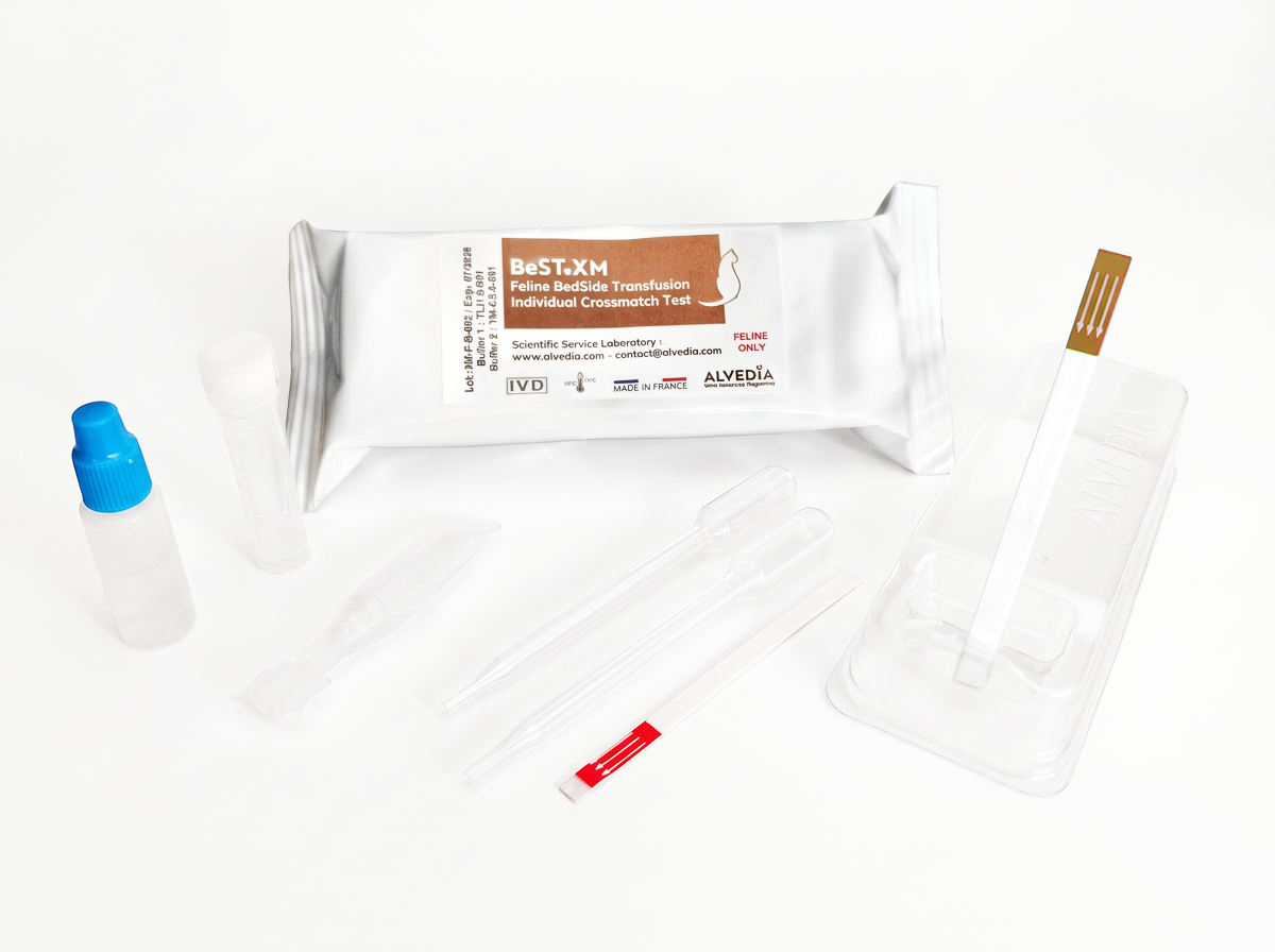 BeST XM Feline individual crossmatch test kit showing packaging and supplied components