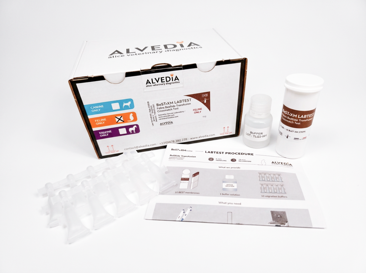 BeST XM LabTest Feline 10-test bulk format kit showing packaging and supplied components